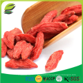 where to buy goji berry wolfberry